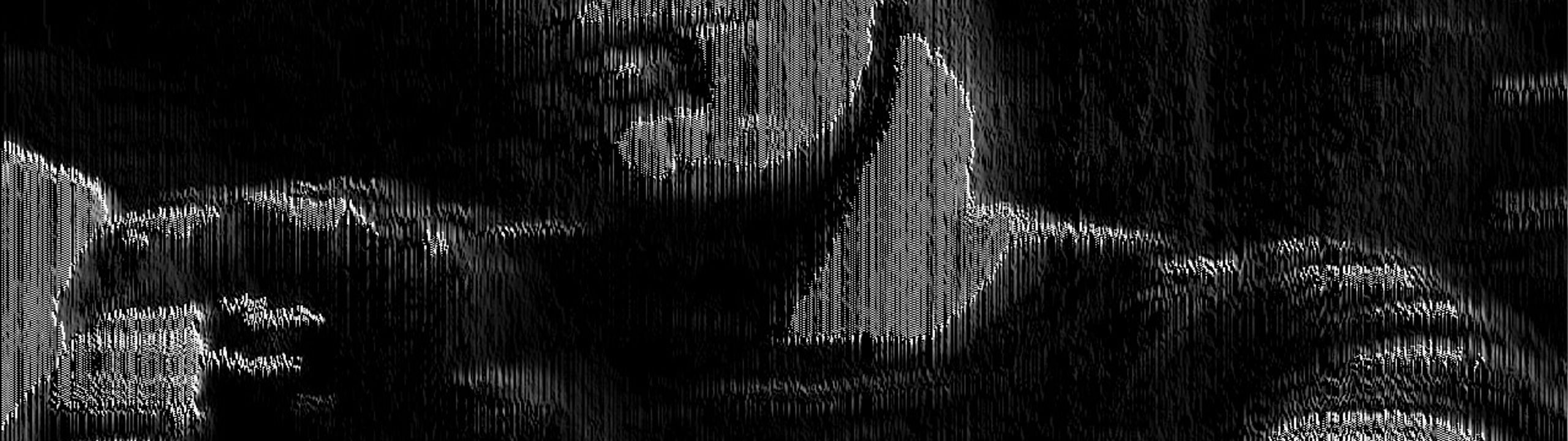 Profile Banner