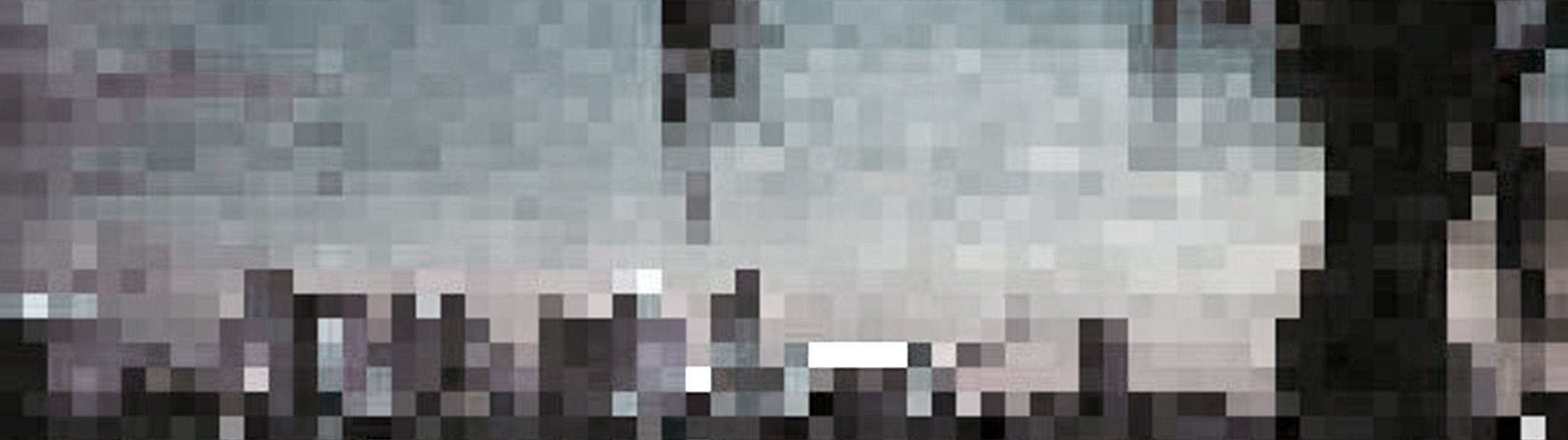 Profile Banner