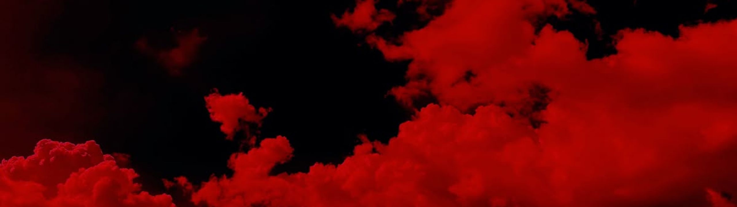 Profile Banner