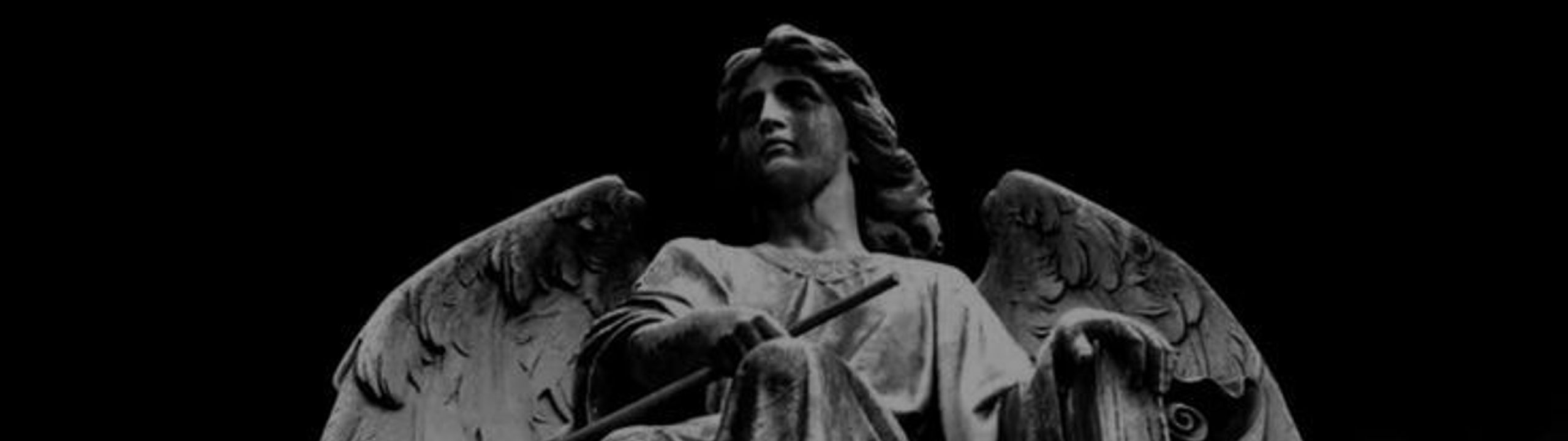 Profile Banner