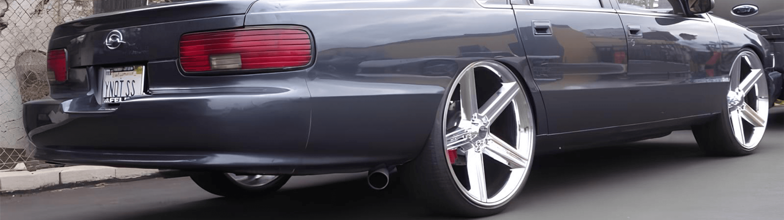 Profile Banner