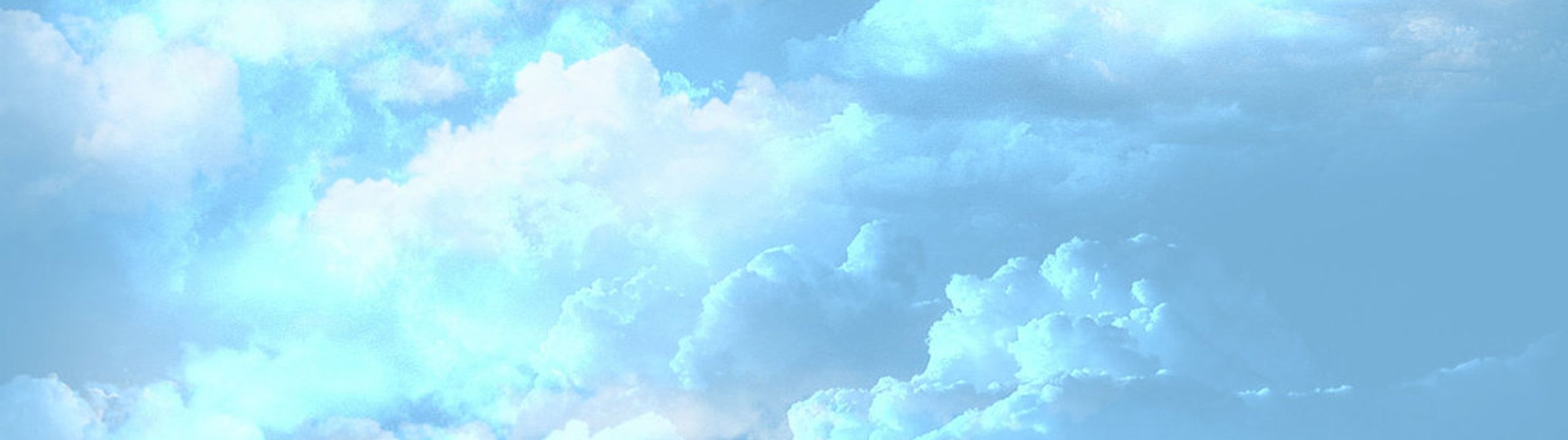 Profile Banner