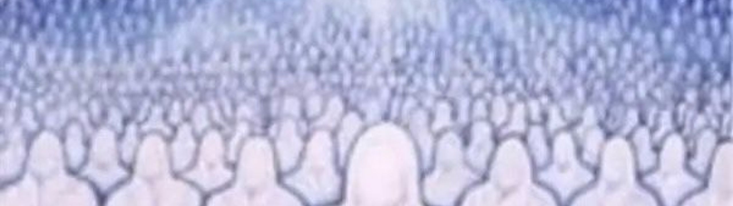Profile Banner