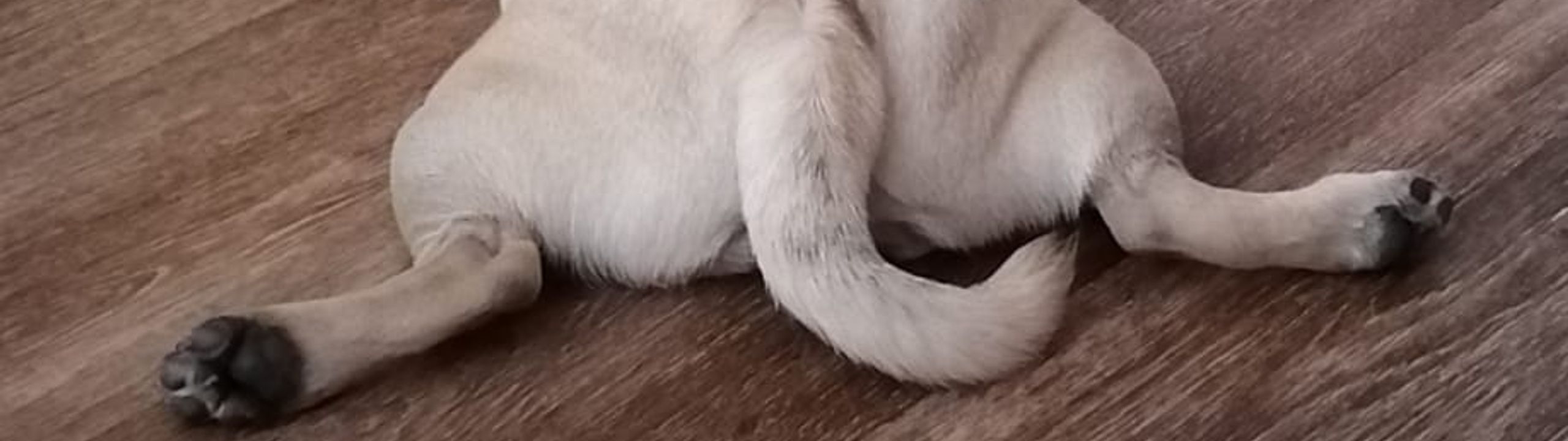 Profile Banner