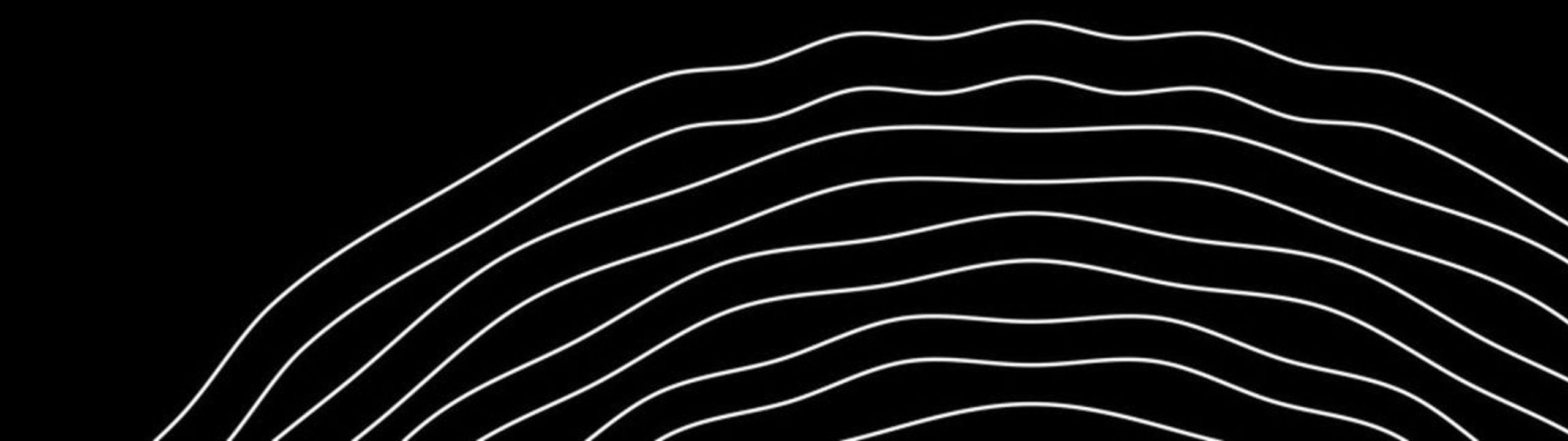 Profile Banner