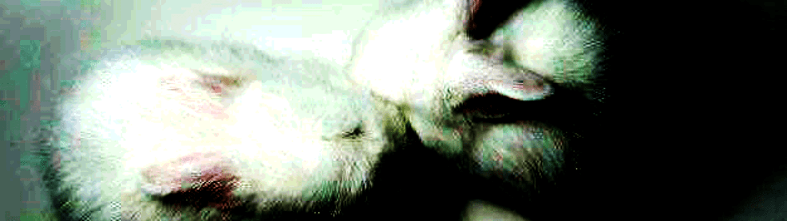 Profile Banner