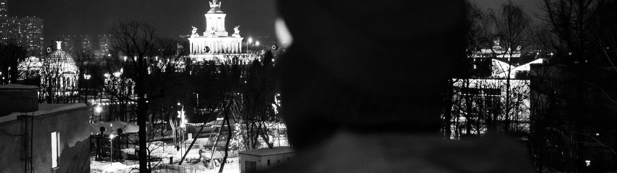 Profile Banner