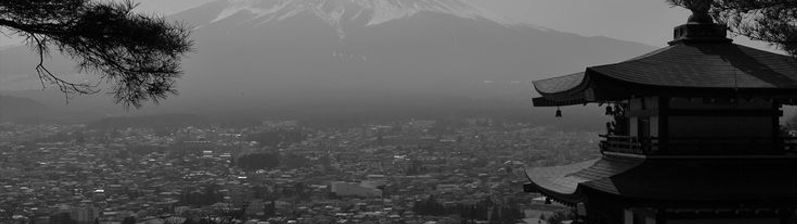 Profile Banner
