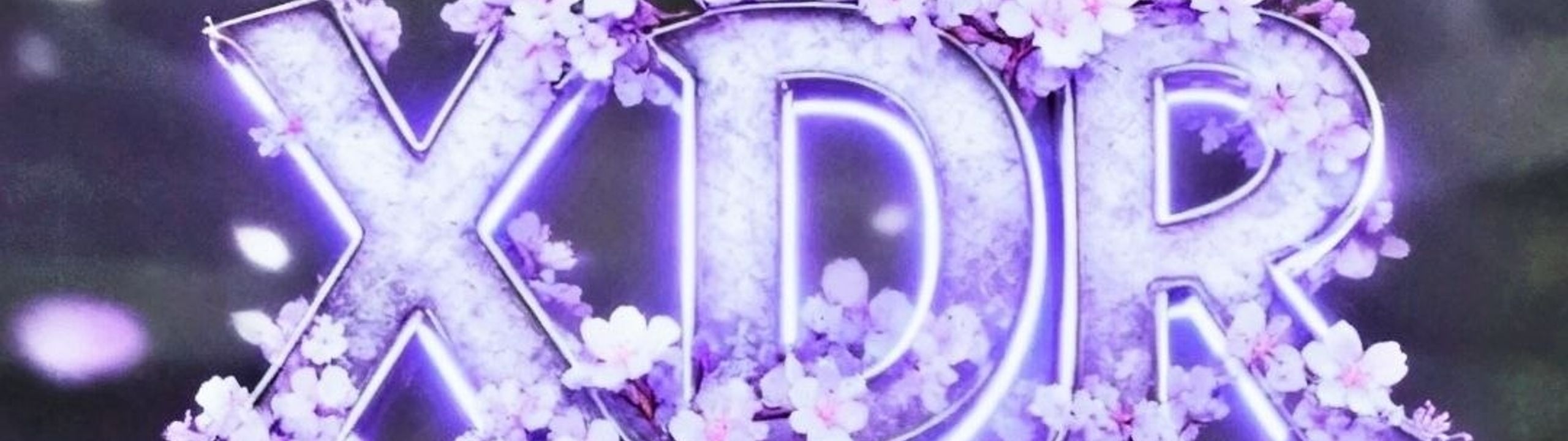 Profile Banner