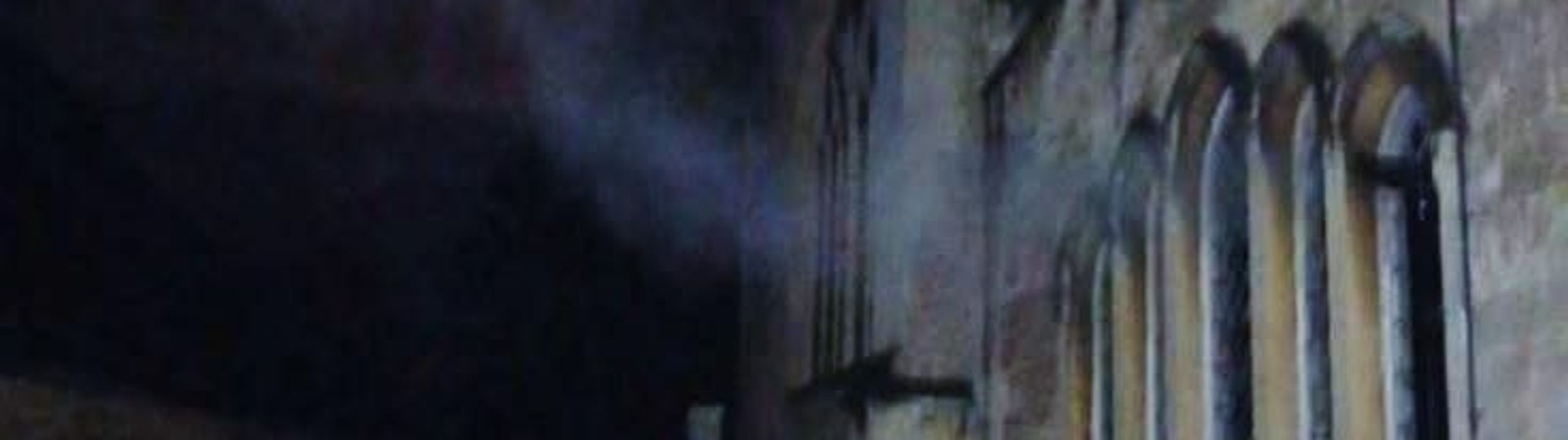 Profile Banner