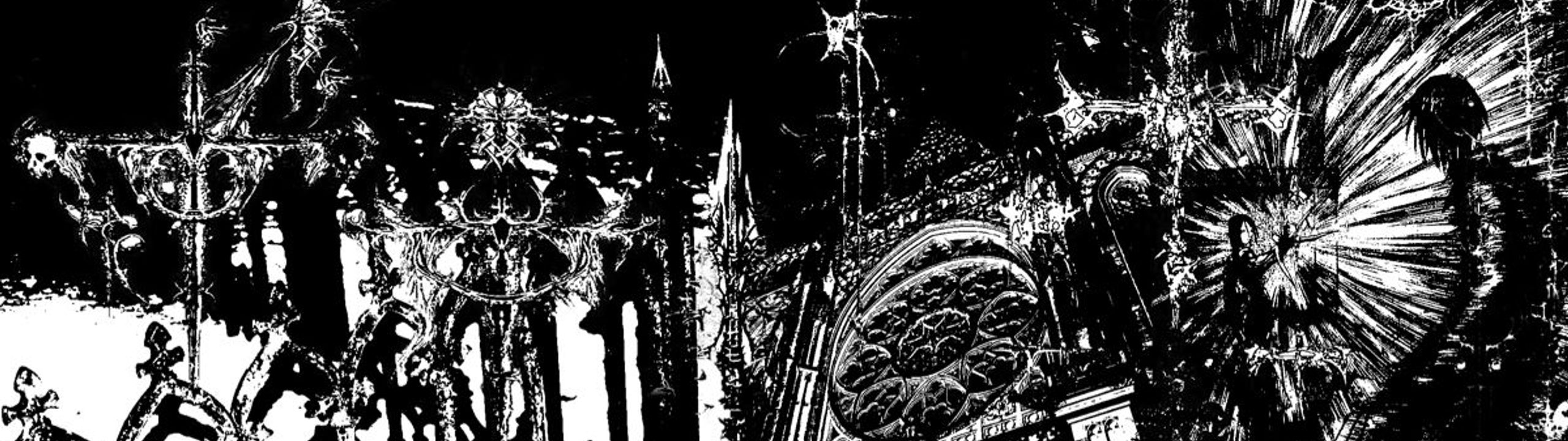 Profile Banner