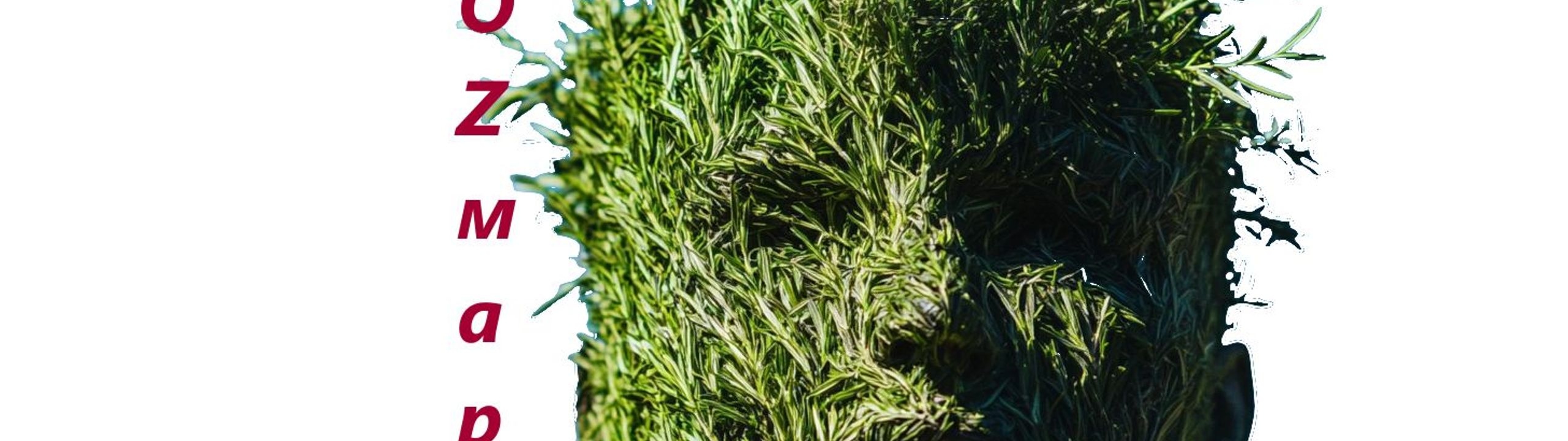 Profile Banner