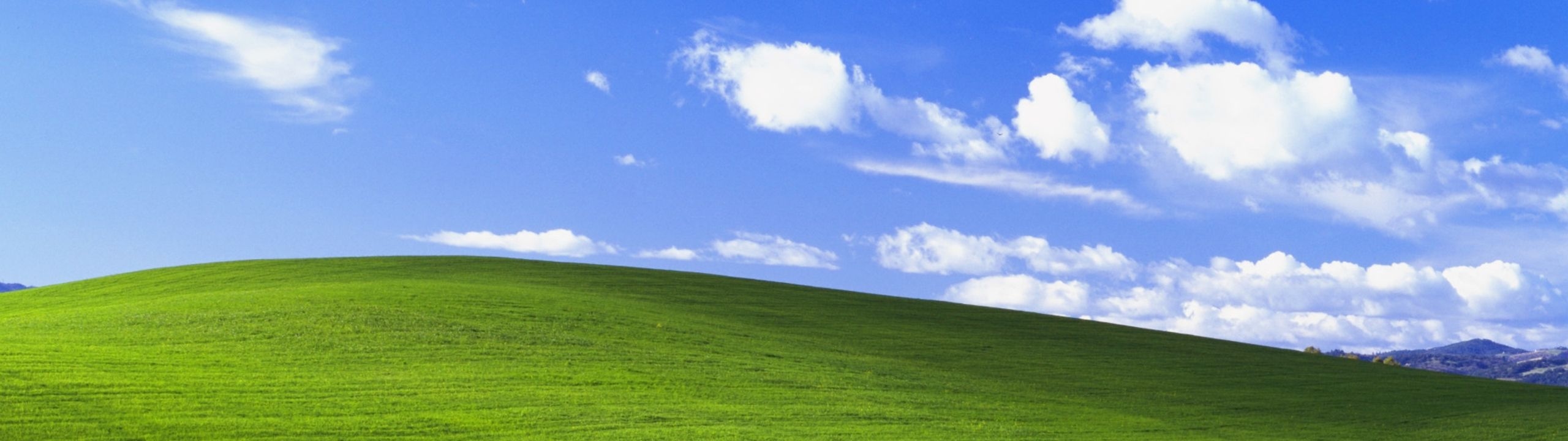 Profile Banner
