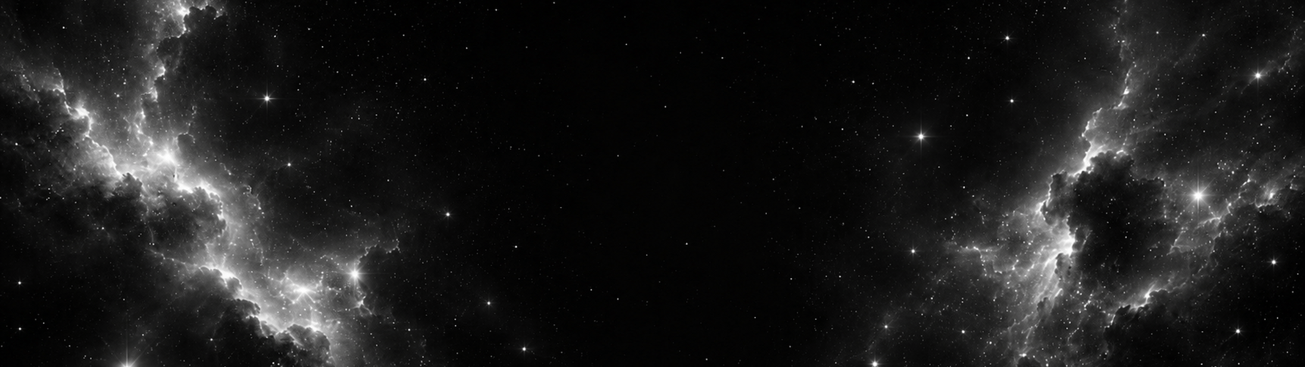 Profile Banner