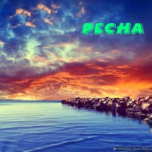 Pecha