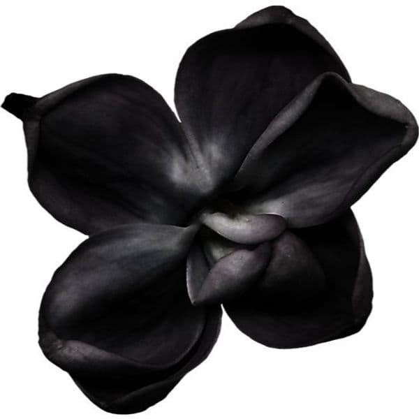 Product cover