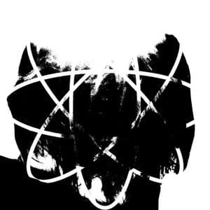Spreydi