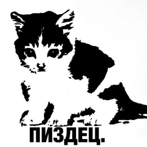Product cover