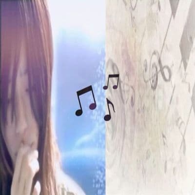 Product cover