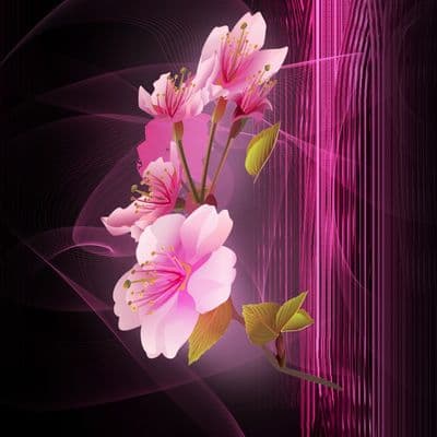 Product cover