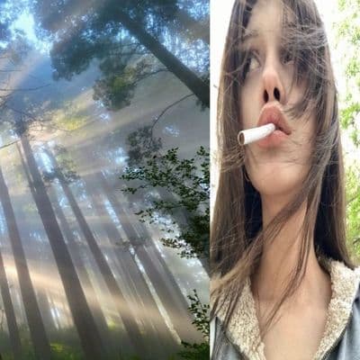 Product cover