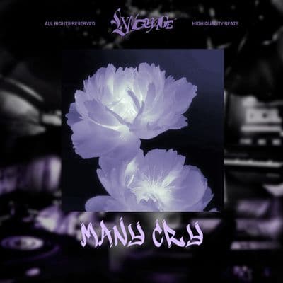 Product cover