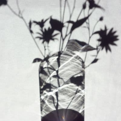 Product cover