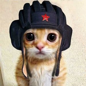 zzzdocx
