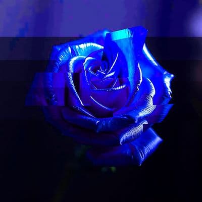 Product cover