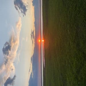 dmeraue