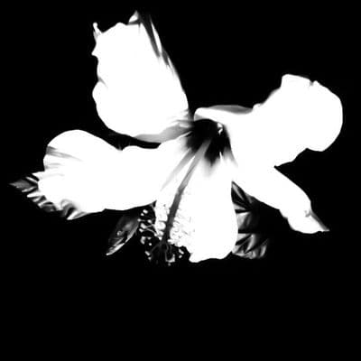 Product cover