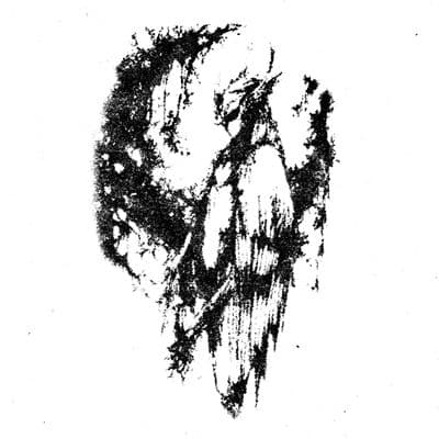 Product cover