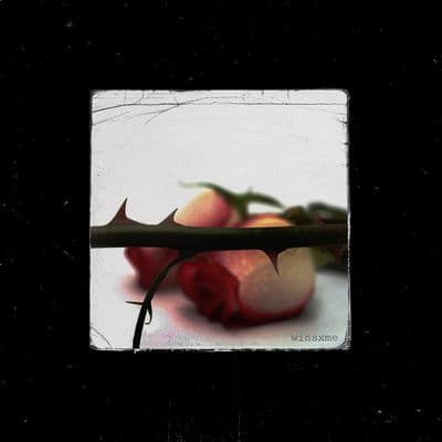 Product cover