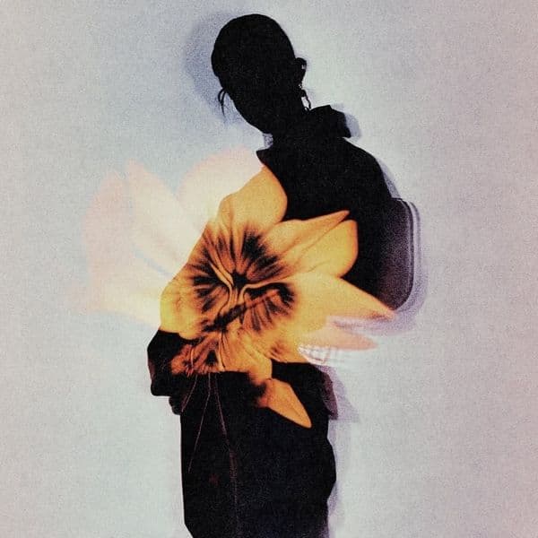Product cover
