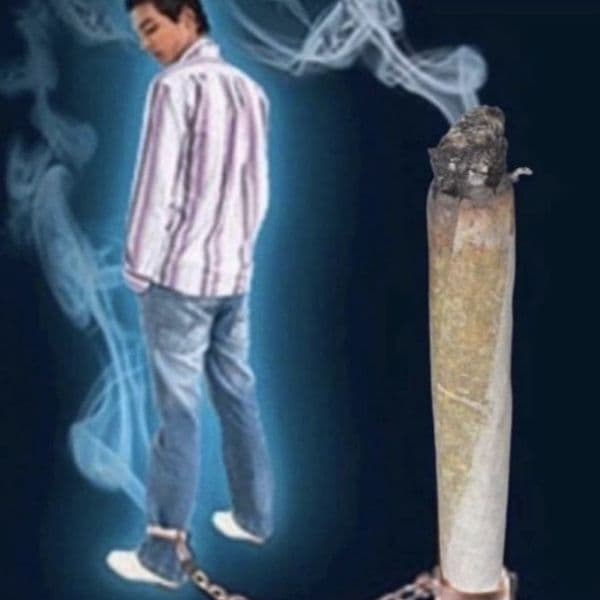 Product cover
