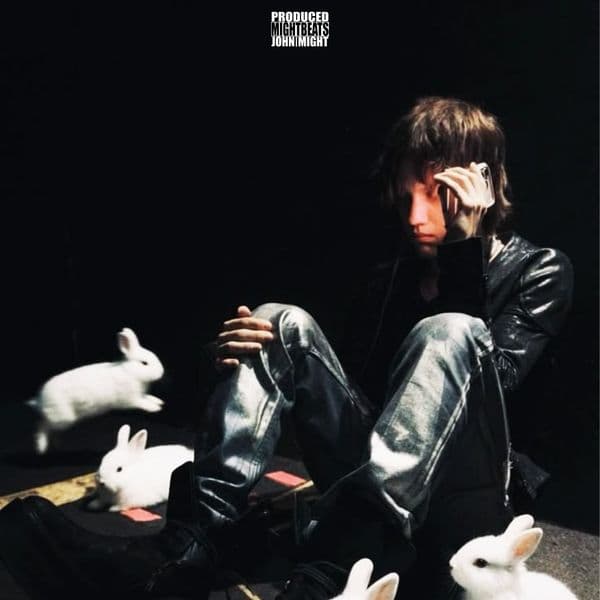 Product cover