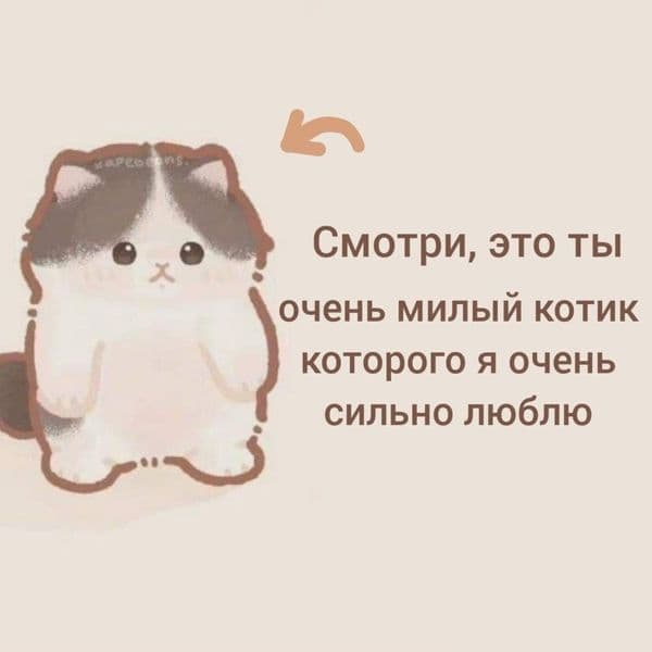 Product cover