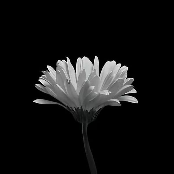 Product cover