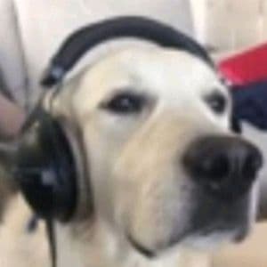 AFXNYX