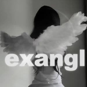 exangl