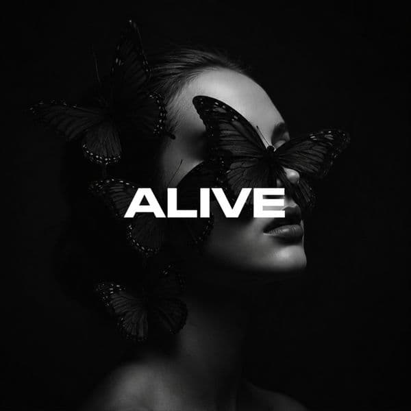 Product cover