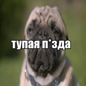 Больсводитсума