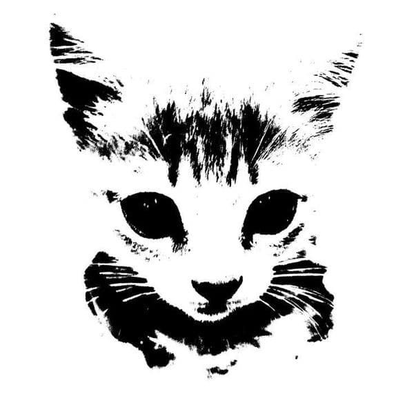 Product cover