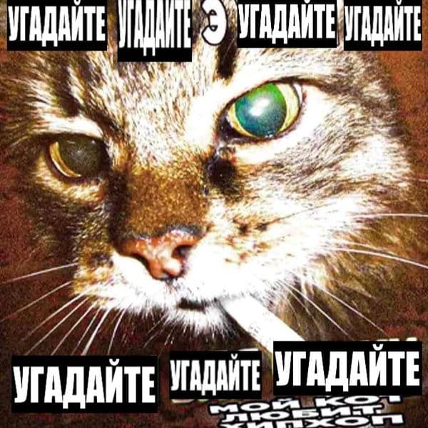 Product cover