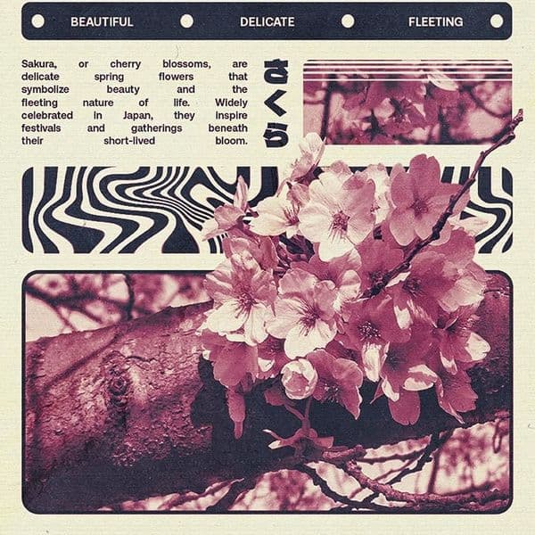 Product cover