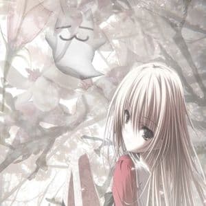 nnlight