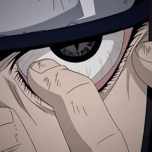 oneseox