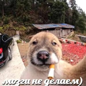 DJ ХАБИБ