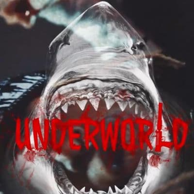 Product cover
